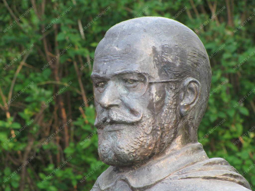 Városkép – Dr. Pávai Vajna Ferenc mellszobra