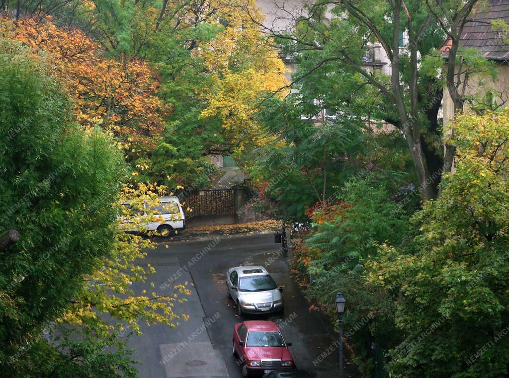 Budapest - Városkép - Ősz a Naphegyen