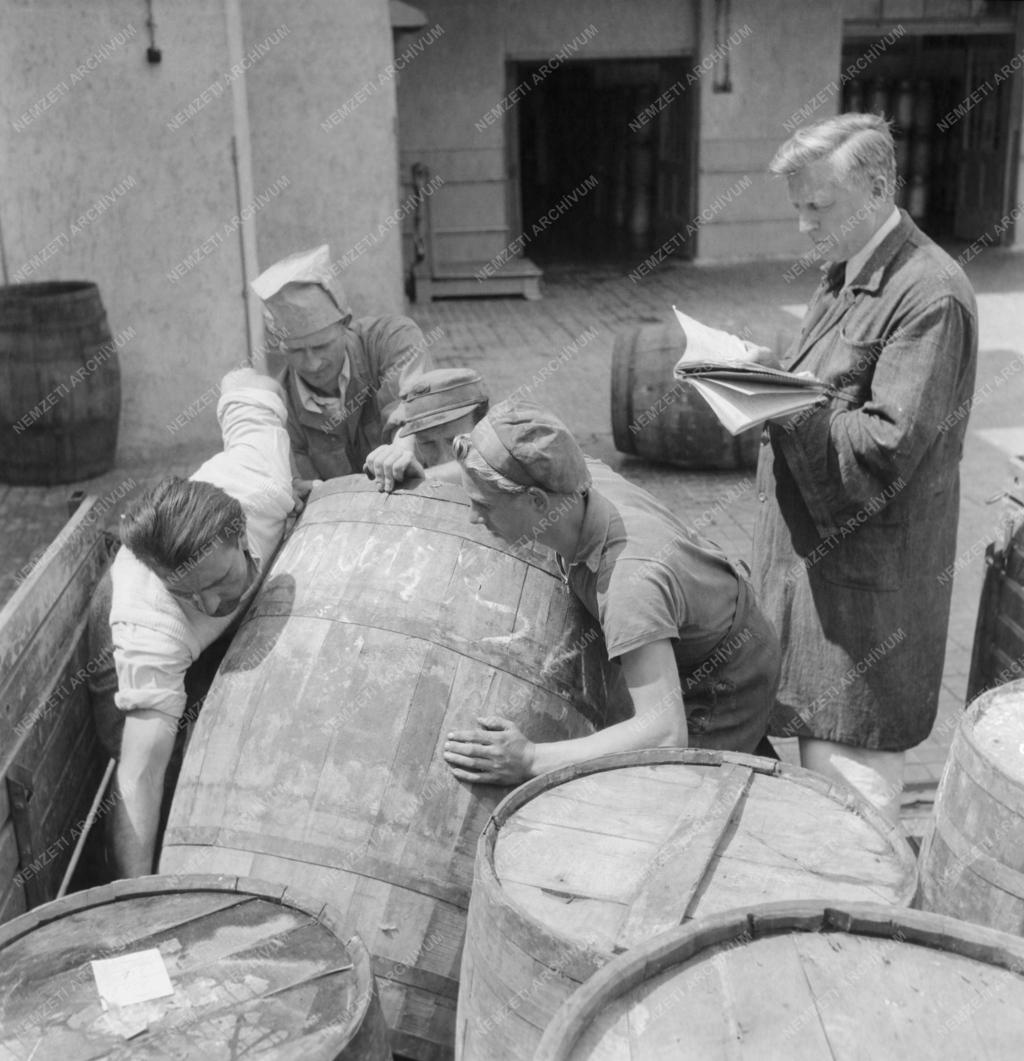 Élelmiszeripar - Országos Magyar Tejszövetkezeti Központ