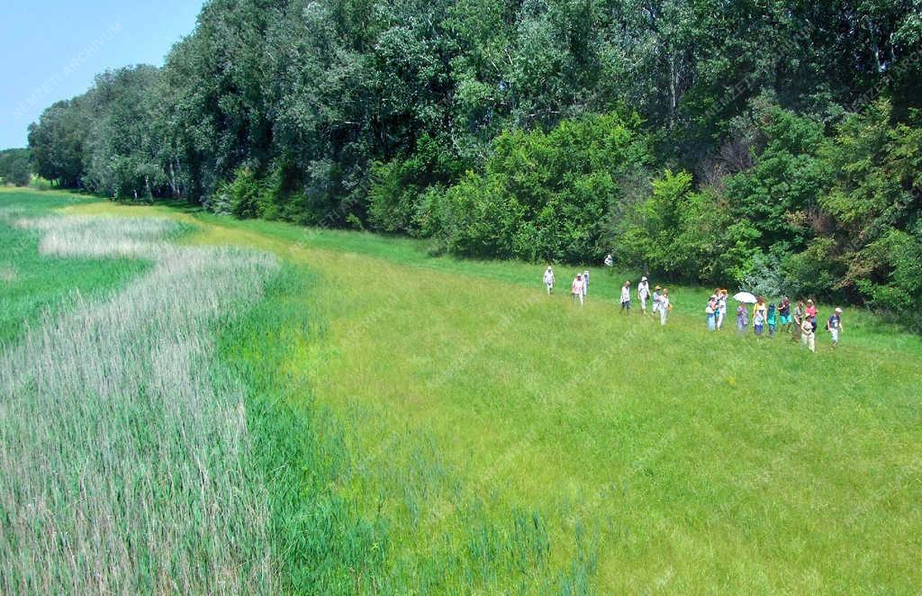 Természet - Izsák - A Kolon-tó partja