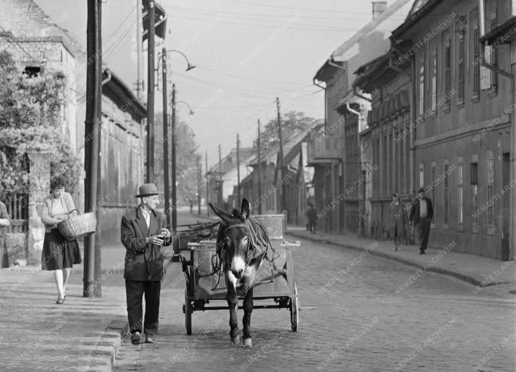 Városkép - Életkép - Budapesti peremkerület