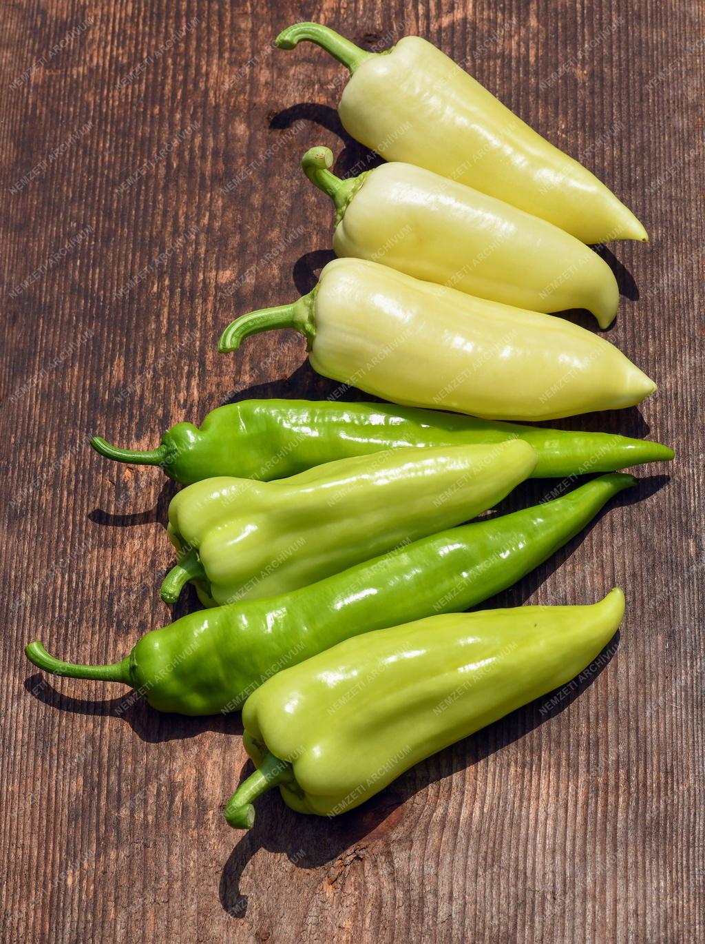 Mezőgazdaság - Primőr paprika Ebesről