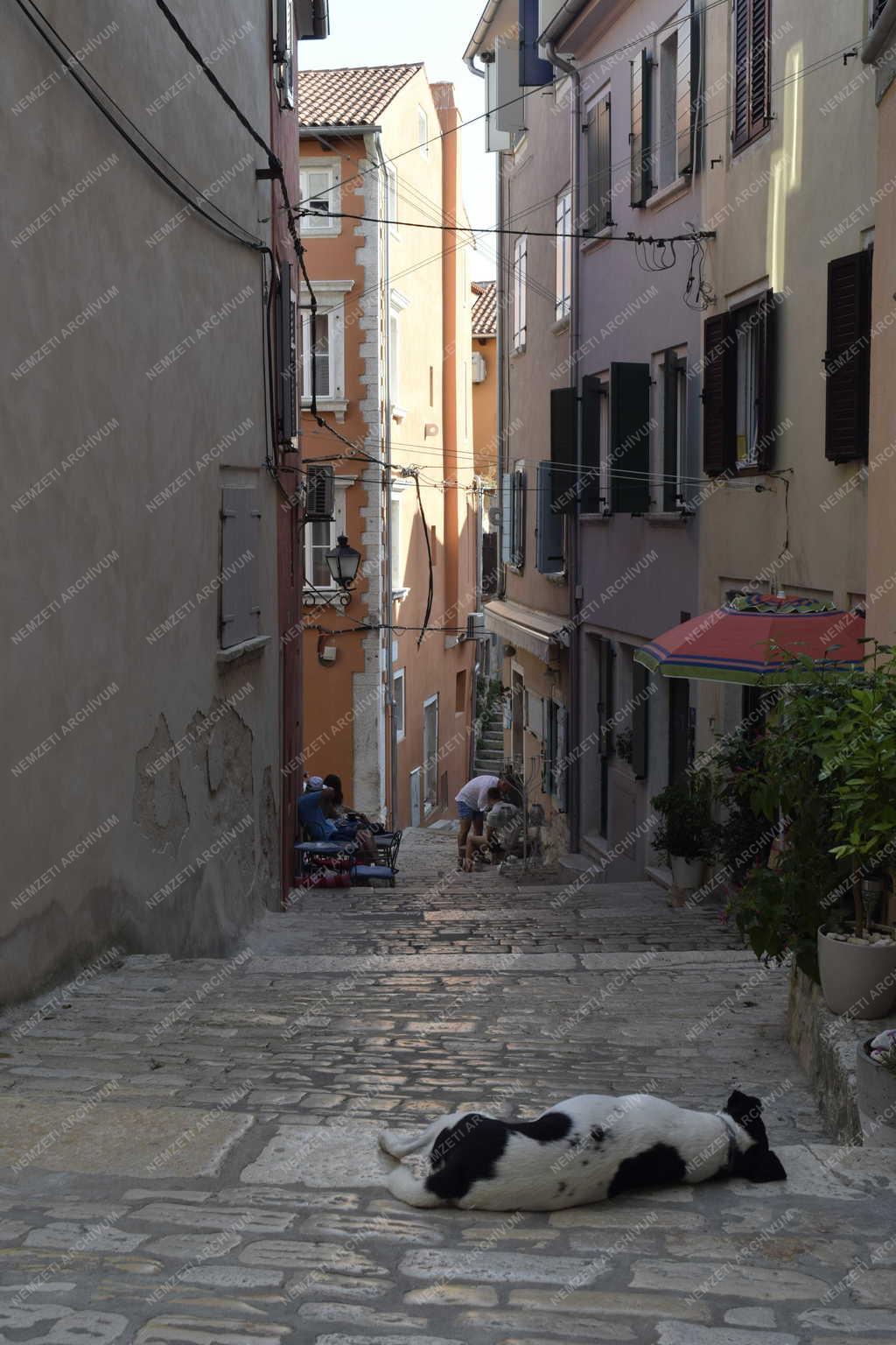Városkép - Horvátország - Rovinj - Sikátor