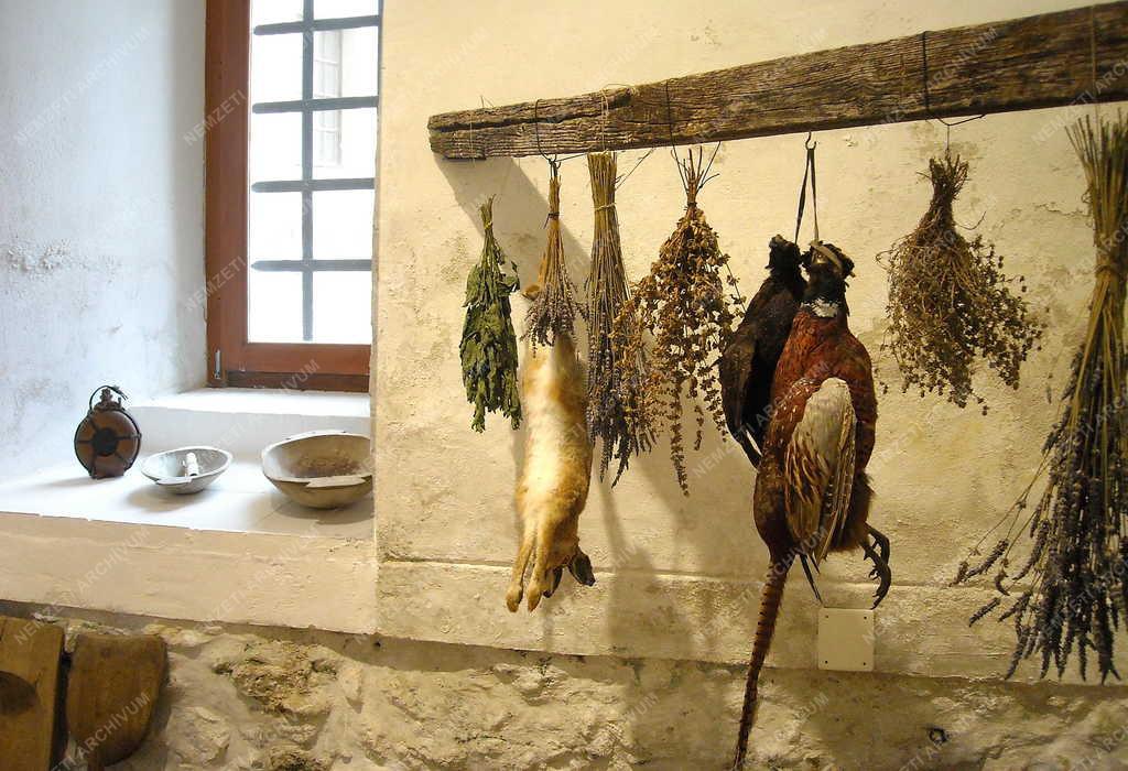 Kultúra - Várpalota - A felújított Thury-vár