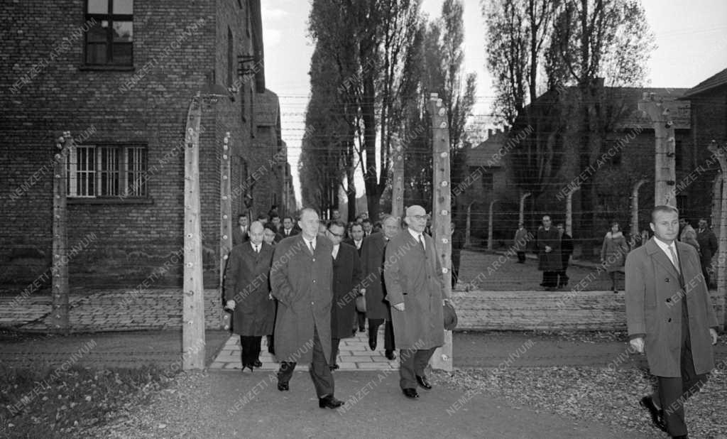 Külkapcsolat - A magyar párt- és kormányküldöttség Lengyelországban