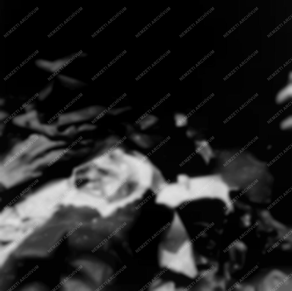 Ötvenhat emléke - Meglincselt ÁVH-s katona