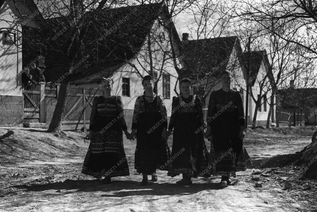 Békásmegyer: Új telepesek I.