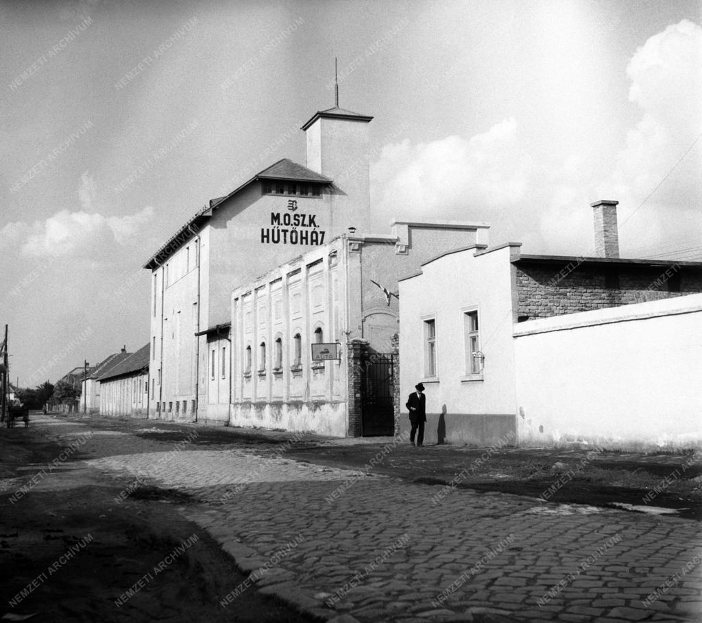 Gazdaság - A MOSZK hűtőháza Szegeden