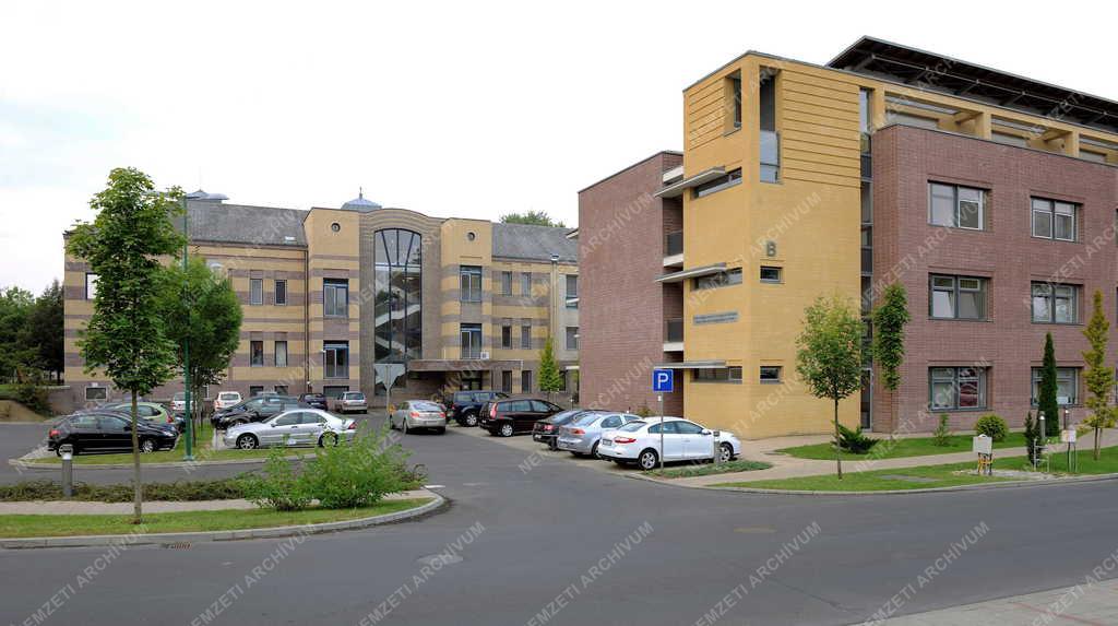 Egészségügy - Debrecen - Egységes betegellátó-rendszer