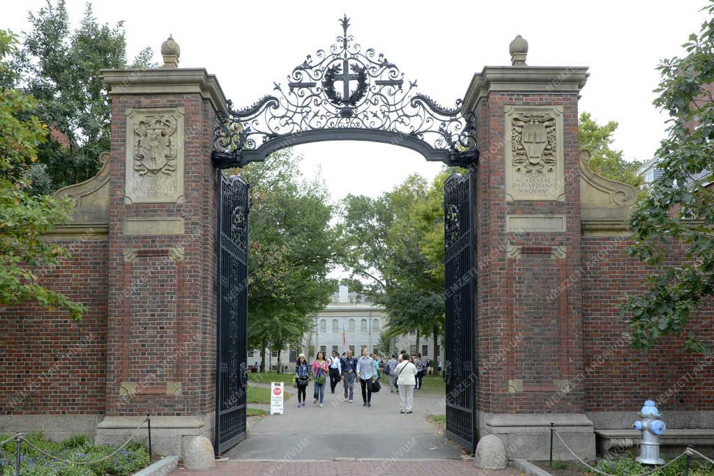 Városkép - Boston - Harvard University