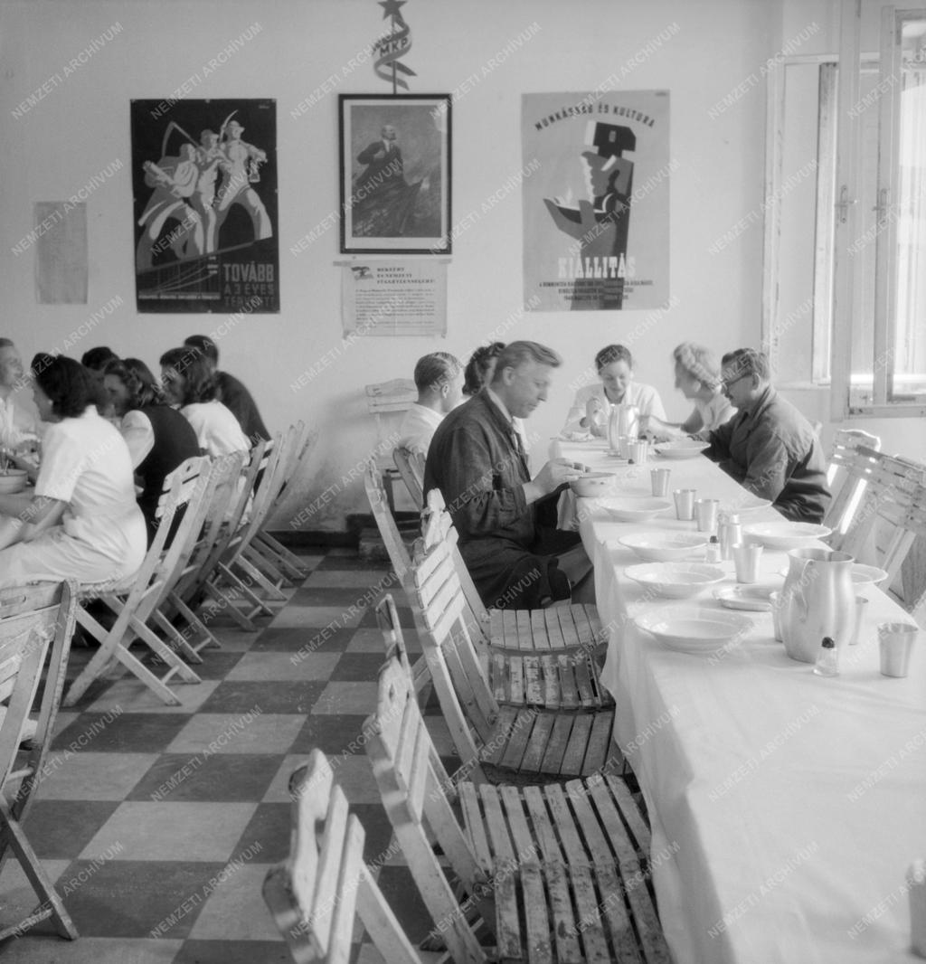 Élelmiszeripar - Országos Magyar Tejszövetkezeti Központ