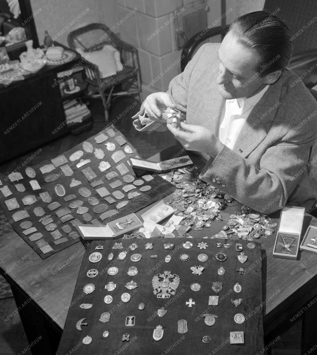 Hobbi - Jelvénygyűjtő