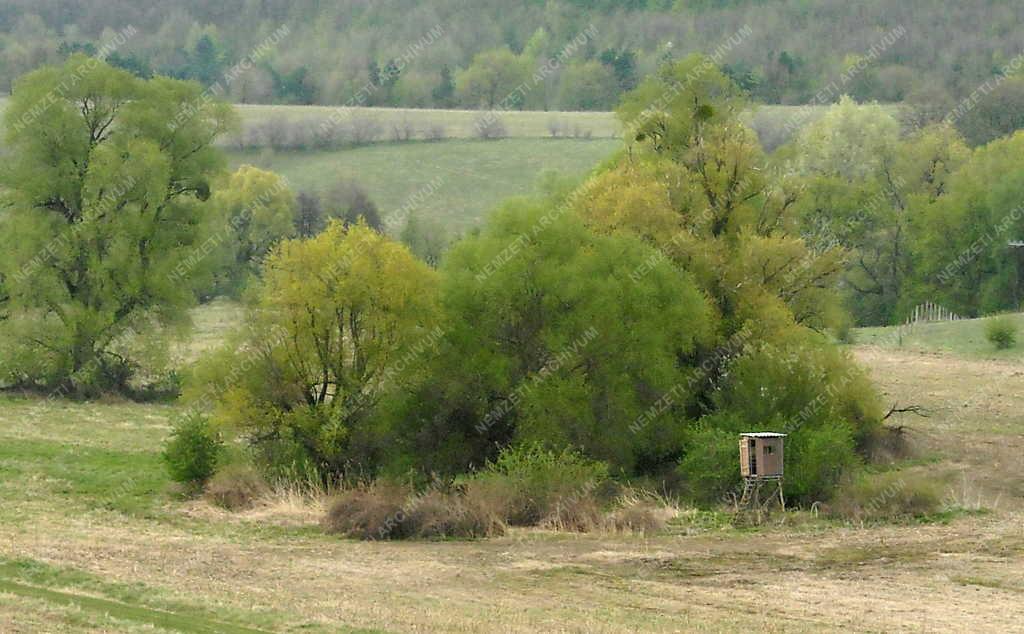 Táj - Természet - Magasles tavaszi tájban