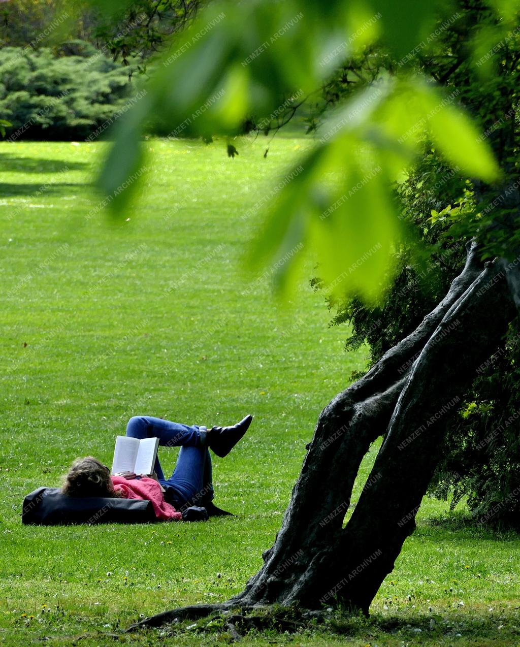 Városkép - Budapest - Tavasz a Margit-szigeten