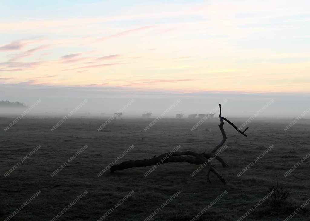 Tájkép - Természet - Ősz a Hortobágyon