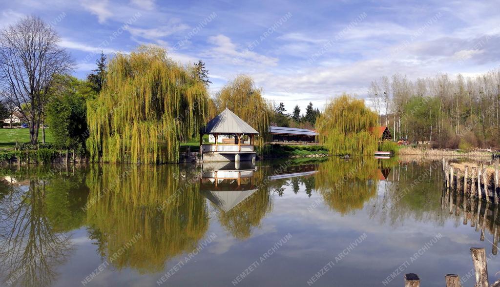 Település - Felsőmocsolád - Kacskovics–Bánó-kastély parkja