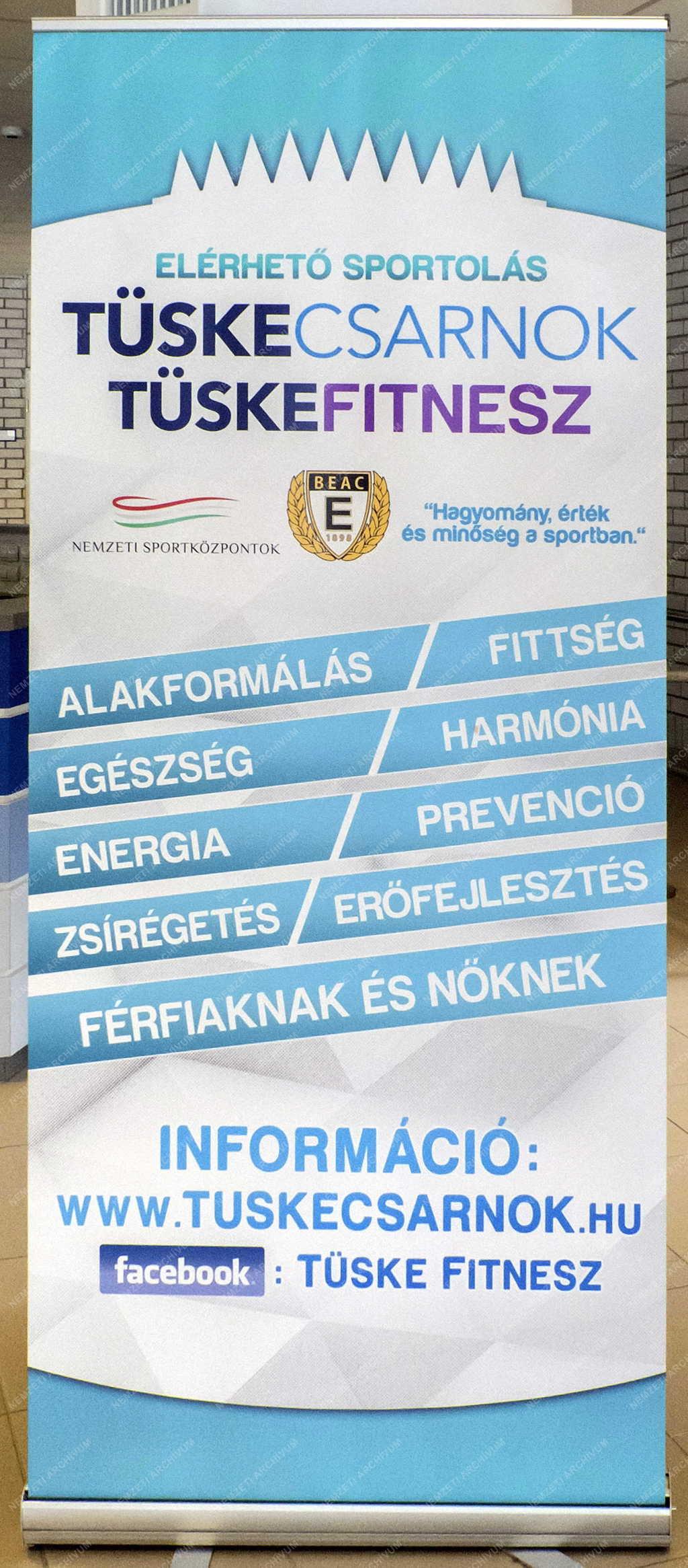 Tárgy - Budapest - A Tüskecsarnok információs táblája