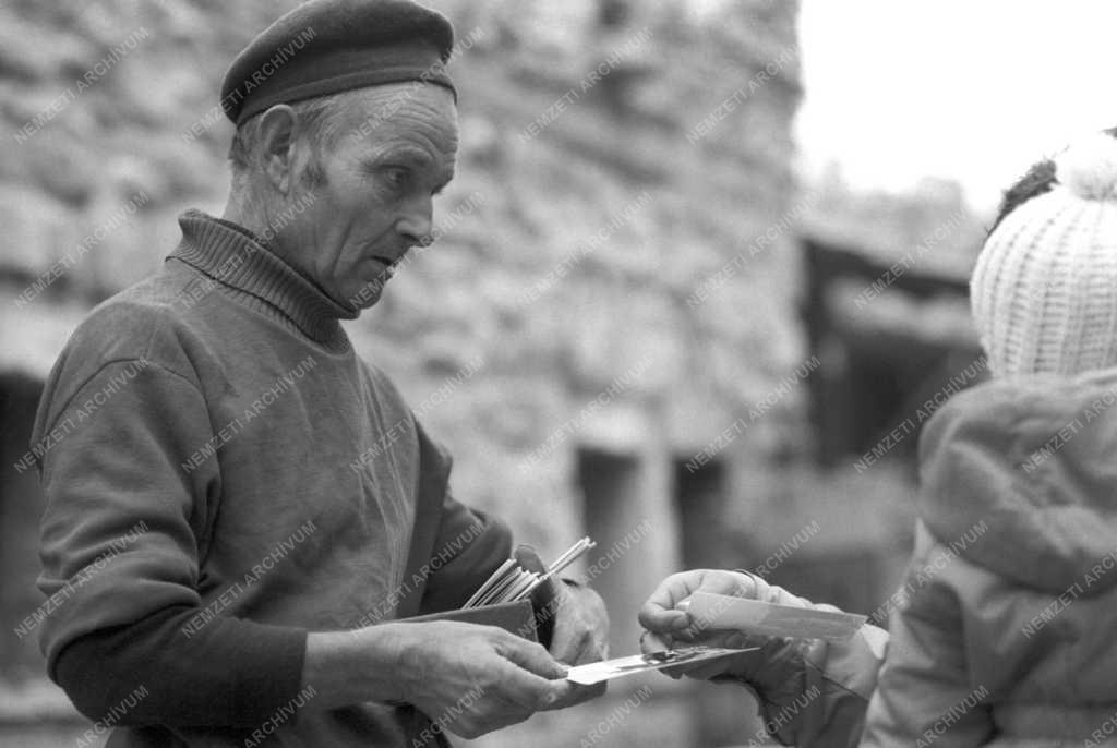 Érdekesség - A Taródi-vár a Lővérekben