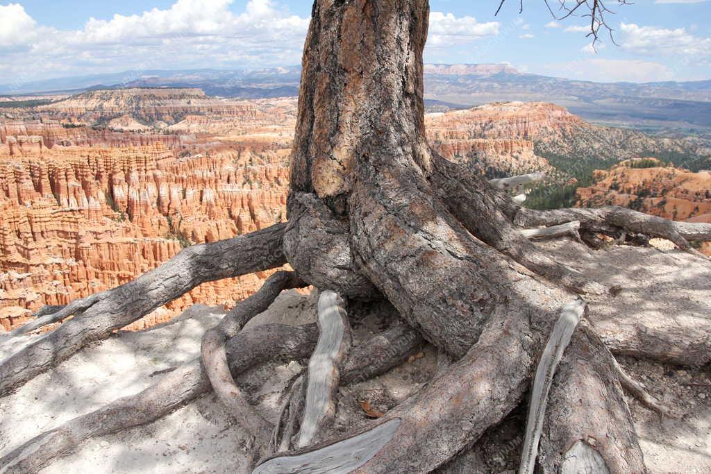 Tájkép - A Bryce Canyon Nemzeti Park látképe