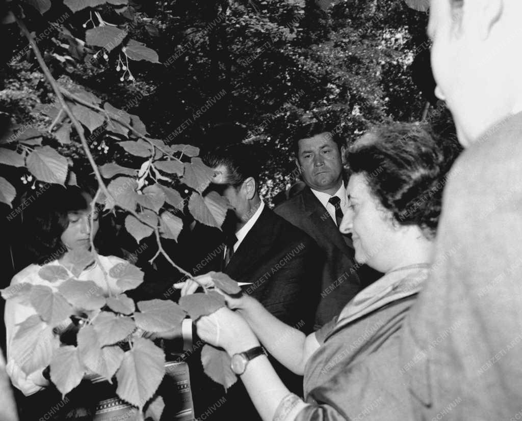Külpolitika - Indira Gandhi Balatonfüreden