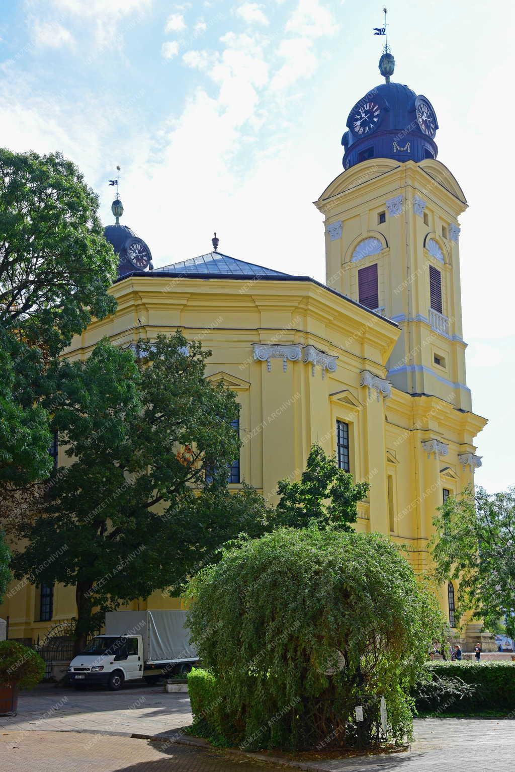 Városkép - Természet - Debreceni líciumfa