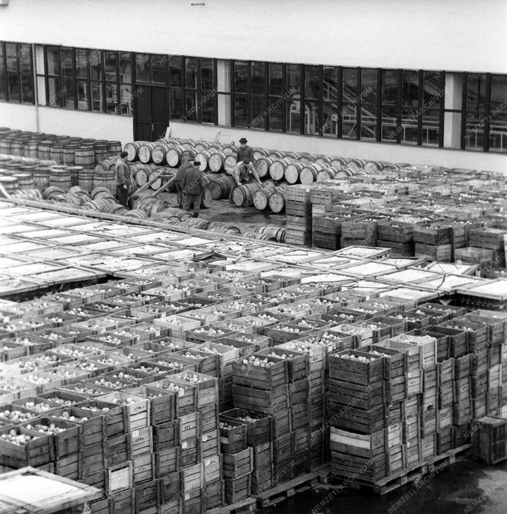 Élelmiszeripar - Nyíregyházi konzervgyár