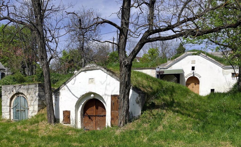 Település - Présházak és borospincék Tökön