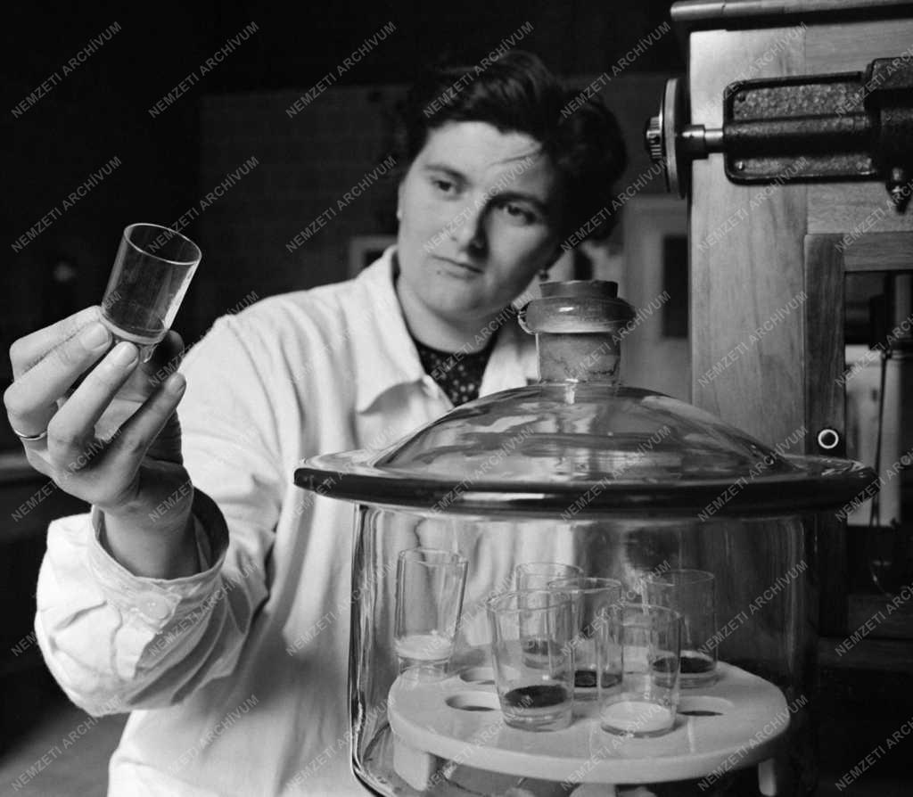 Egészségügy - Hajdú megyei Közegészségügyi és Járványügyi Állomás