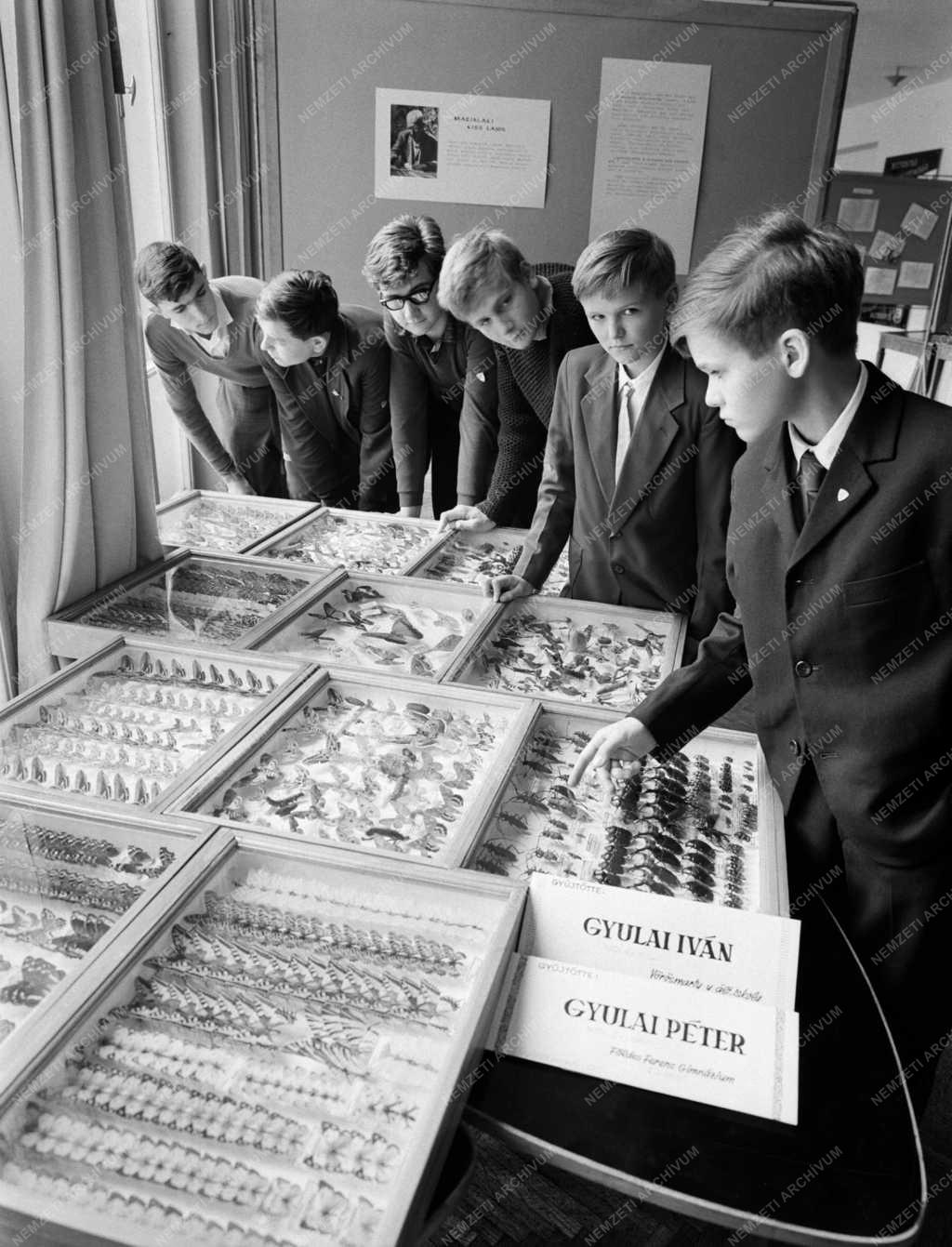 Tudomány - Ifjú természettudós testvérpár Miskolcon