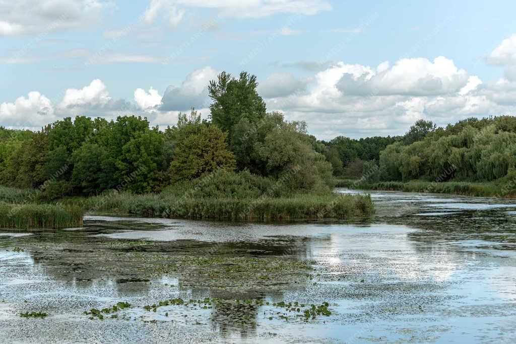 Tájkép - Természet - Kis-Balaton - Kányavári-sziget