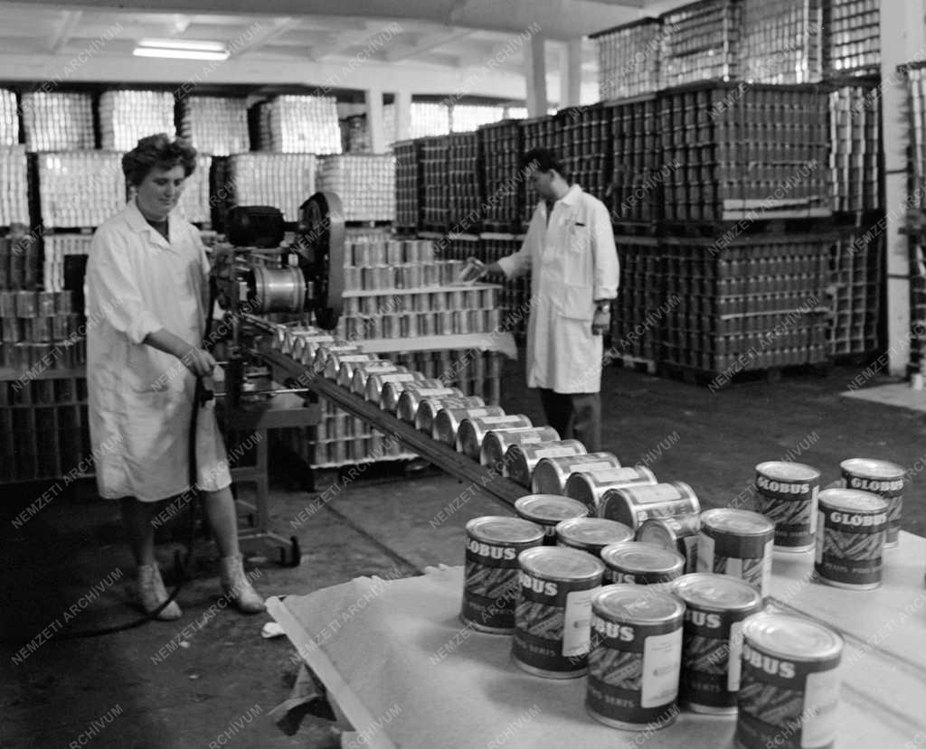 Élelmiszeripar - Borsófeldolgozás a Kecskeméti Konzervgyárban