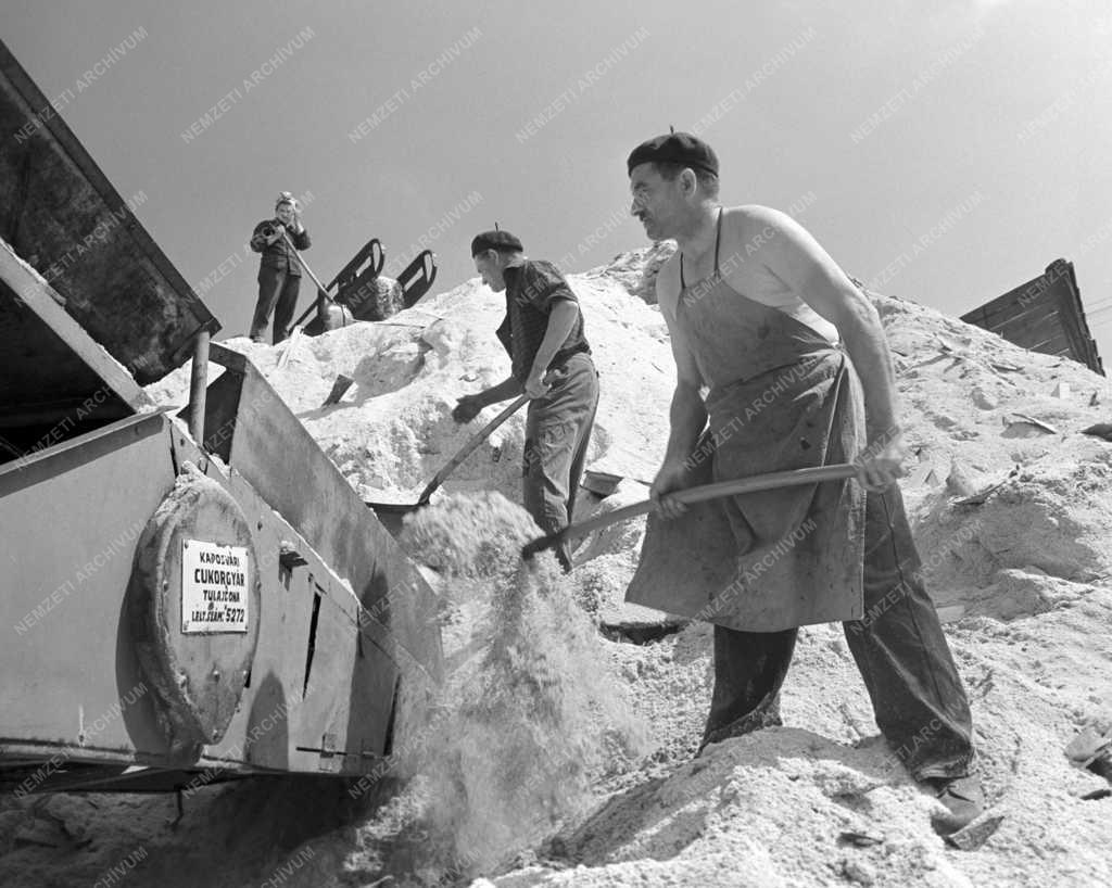 Ipar - Fafeldolgozás