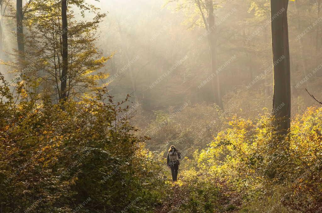 Természet - Pilisszentkereszt - Őszi kirándulás
