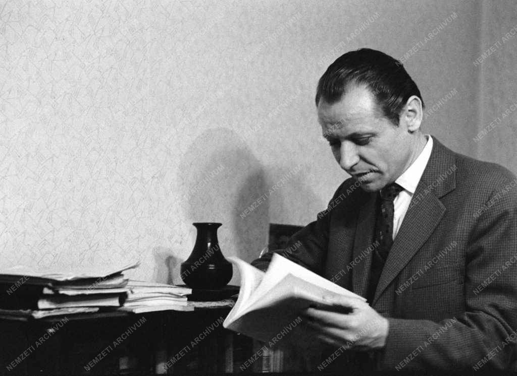 Irodalmi portré - Váci Mihály