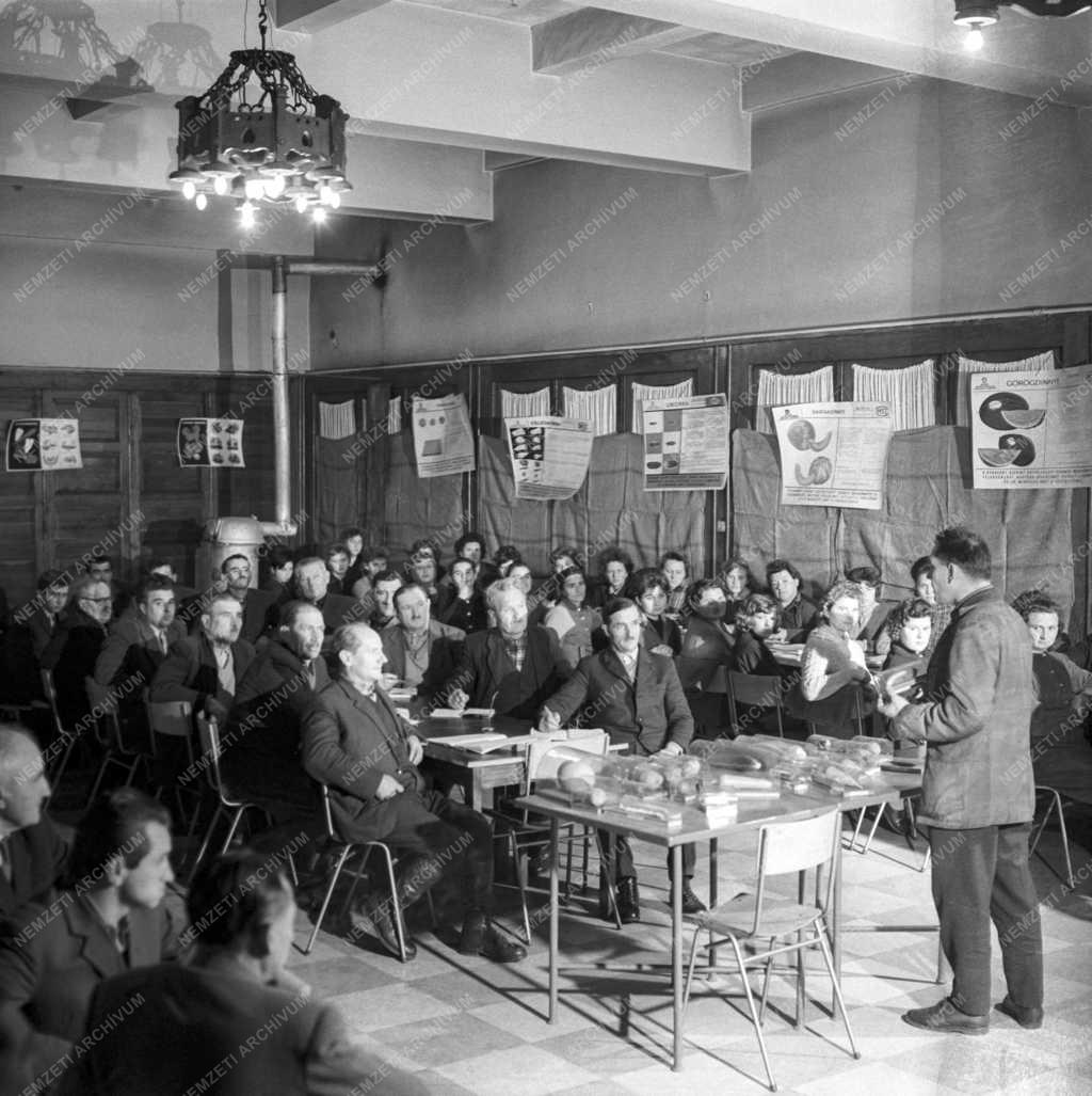 Mezőgazdaság - Oktatás - Elméleti továbbképzés a zöldségtermesztők számára