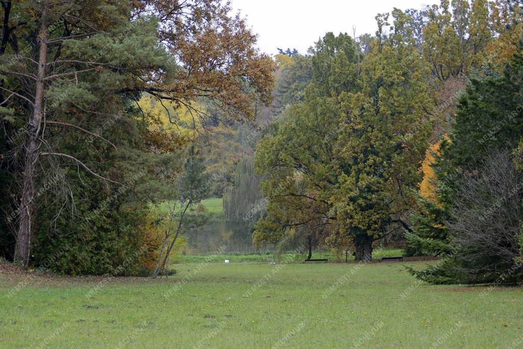Természet - Vácrátót - Botanikus kert