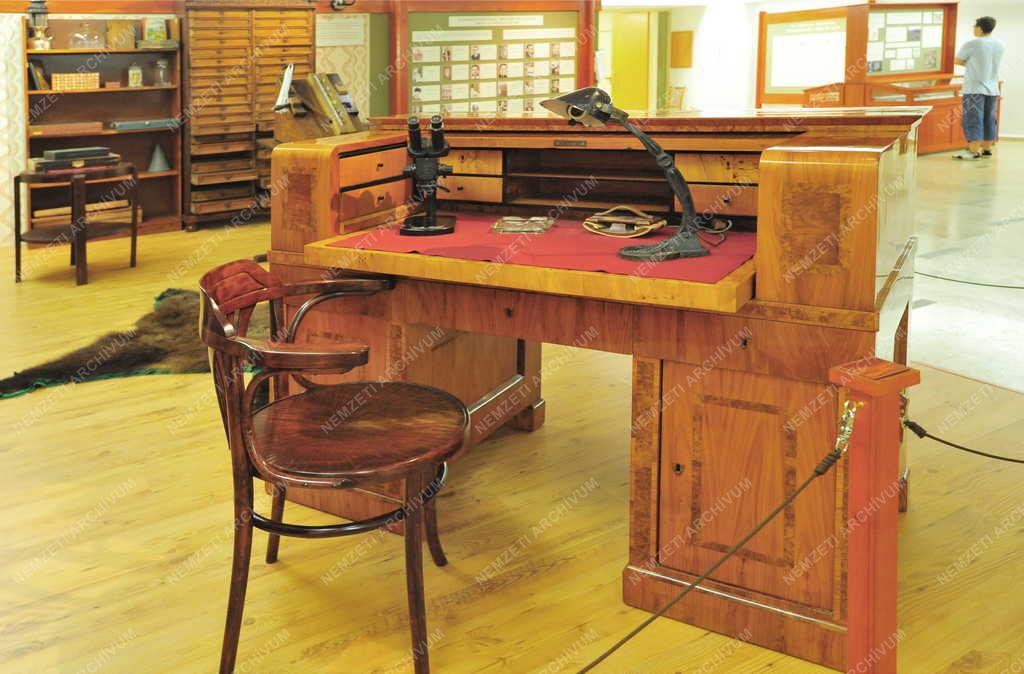 Gyöngyös - Múzeumbelső