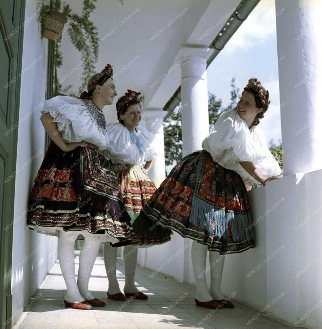 Folklór - Sárközi népművészeti ház