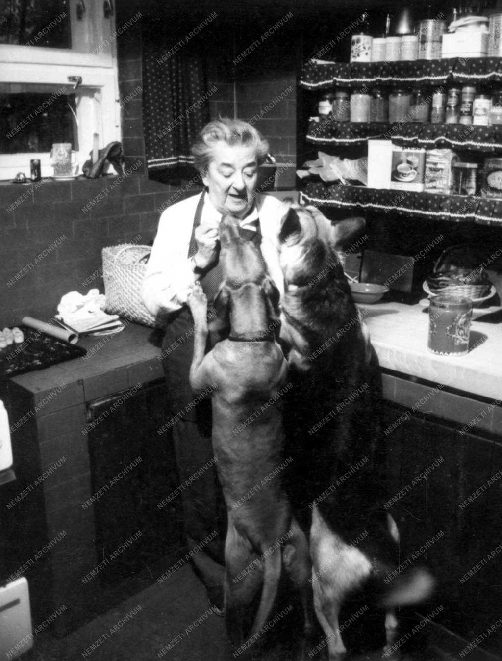 Gobbi Hilda kutyáival