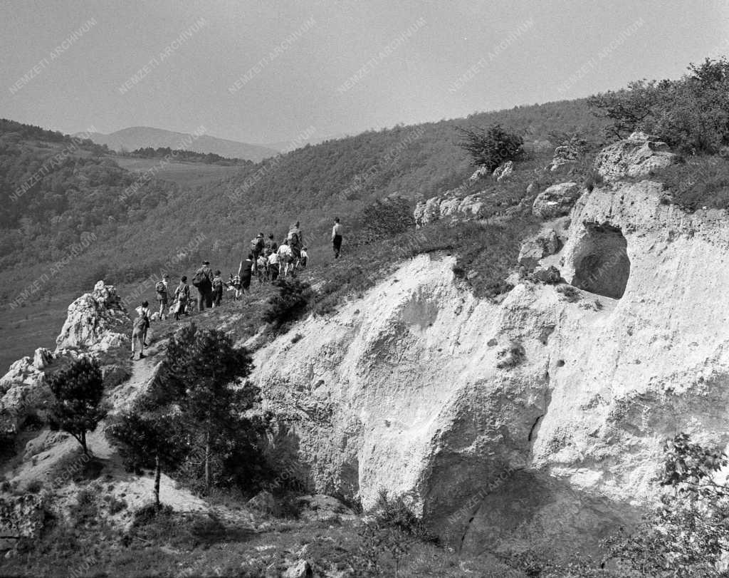 Természet-környezet - Természetbarátok a Pilisben