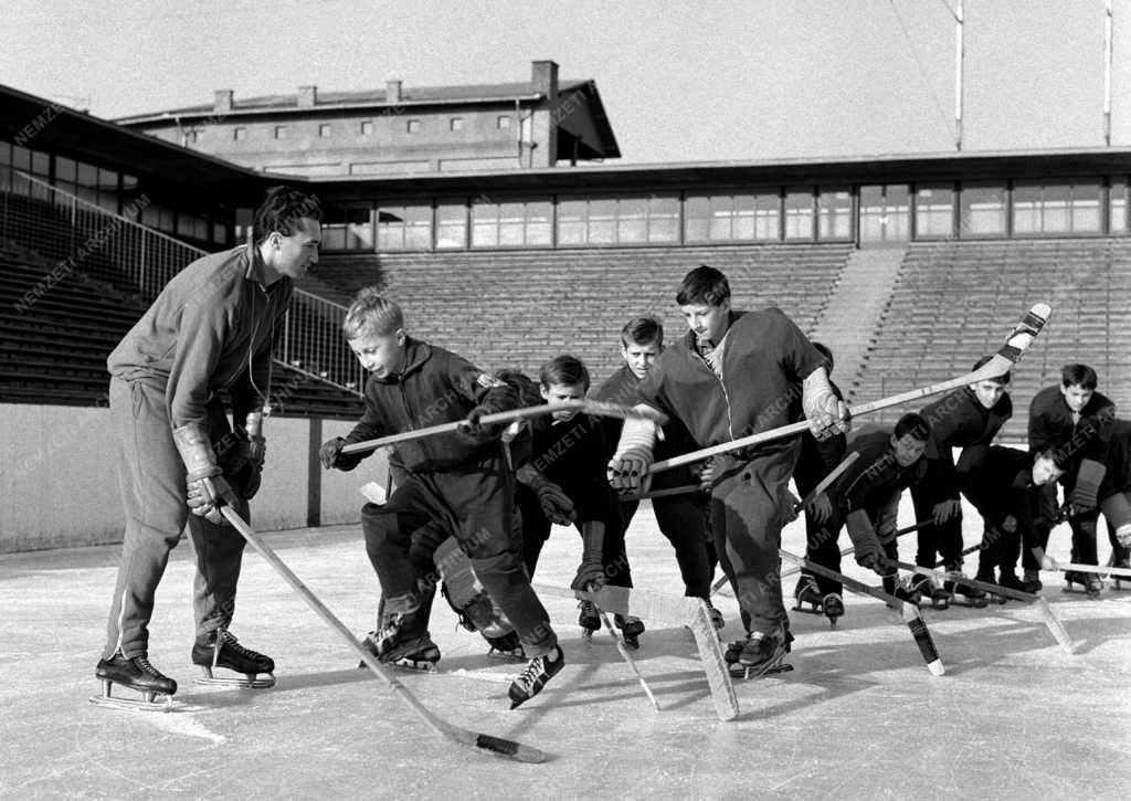 Sport - Jégkorong