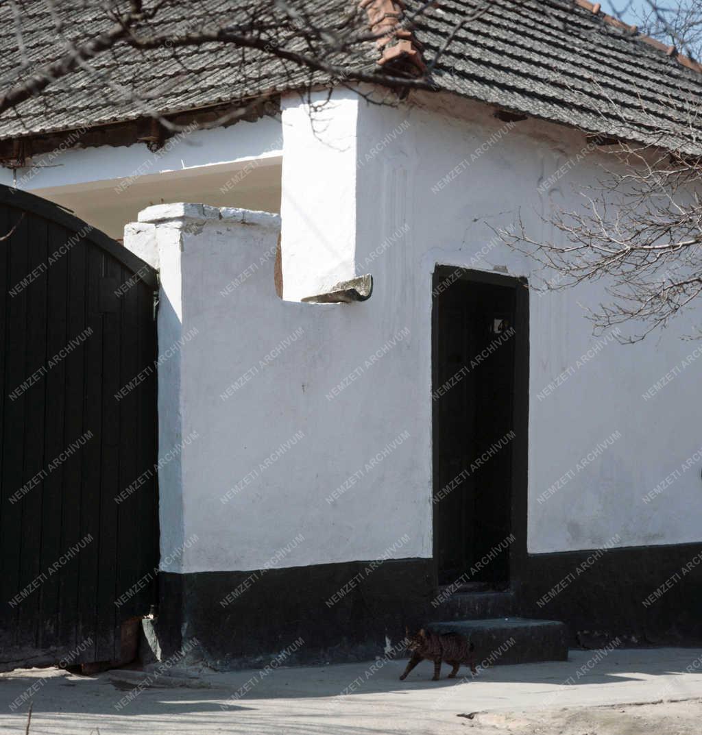 Település - Csávolyi ház