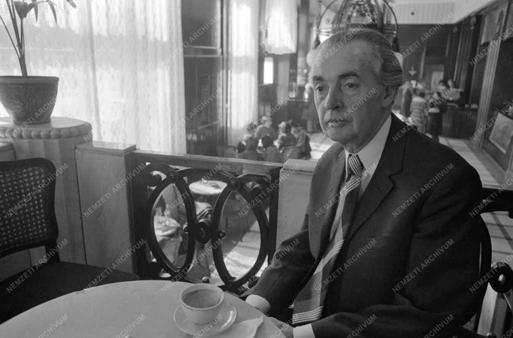Kultúra - Magyar irodalom - Mándy Iván író