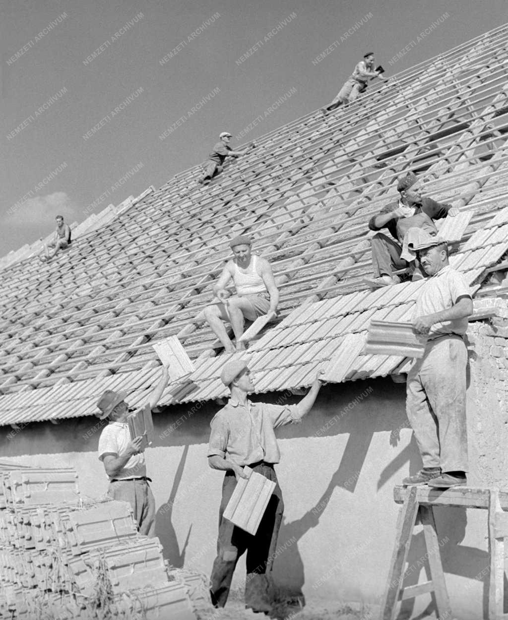 Mezőgazdaság - Juhhodály épül Endrőd községben