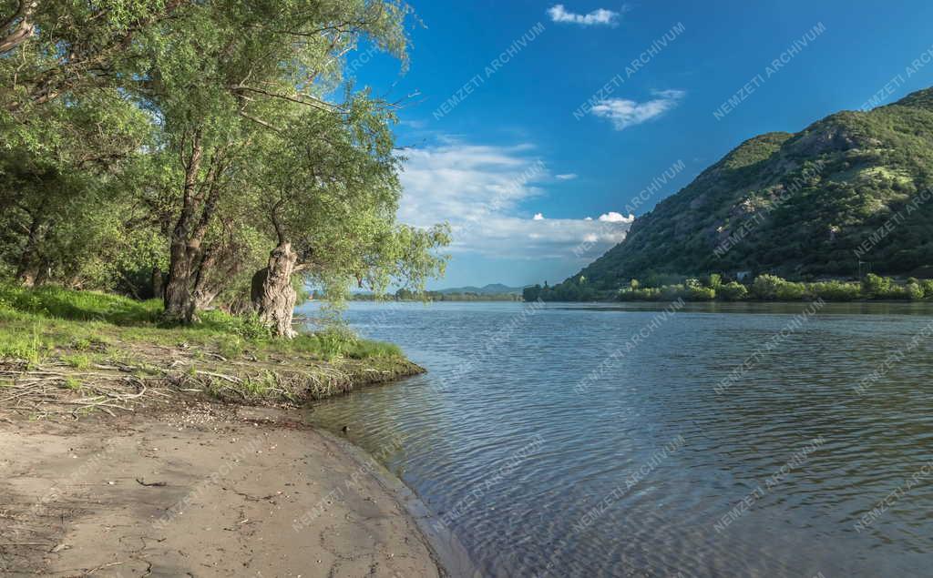 Tájkép - Dömös - A Dunakanyar Dömös térségében