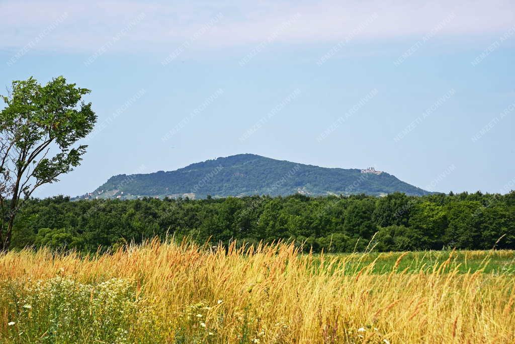 Tájkép - Oroszi - Somló-hegy