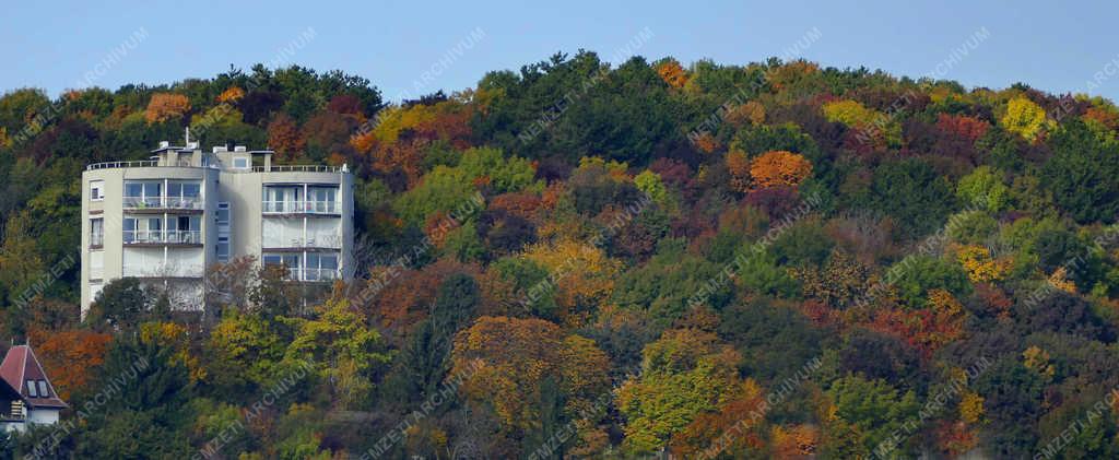 Városkép - Budapest - Ősz a Kis-Sváb-hegyen