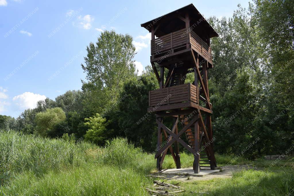 Természet - Budapest - Merzse-mocsár