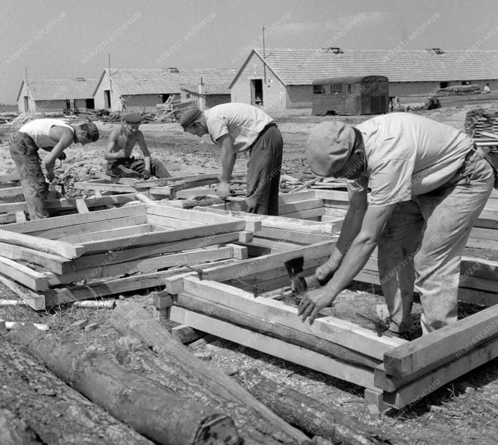 Mezőgazdaság - Baromfitenyésztésre, sertéshízlalásra társult tsz-ek