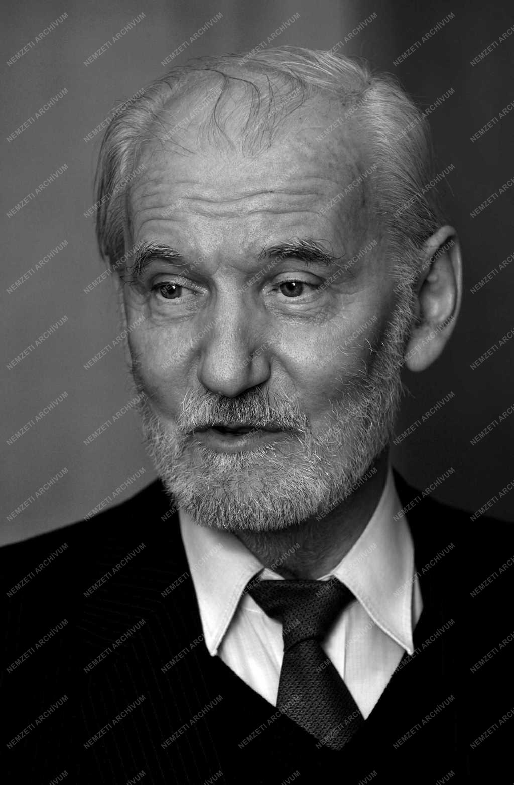 Portré - Pap Gábor művészettörténész